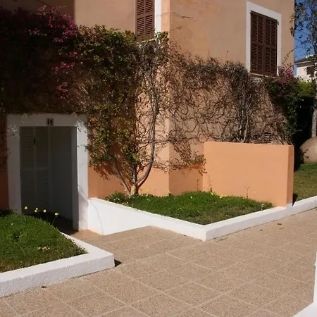 S'olivera * Canyamel (Mallorca)